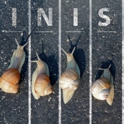 Finsh Blog